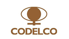 Codelco 智利国家铜业