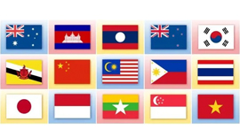 RCEP盟国语言翻译（南亚、东南亚）