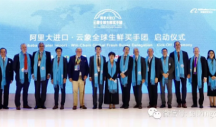 唐能.行业分享 唐能翻译为首届进博会提供的服务圆满结束