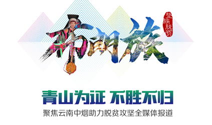 「唐能风采」唐能翻译中标云烟国际翻译服务采购项目