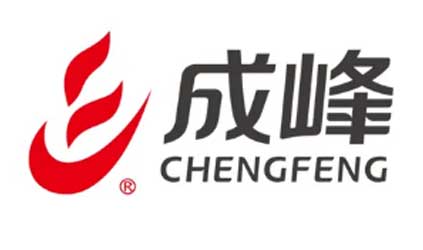 「唐能风采」唐能翻译为上海成峰流体设备提供翻译服务