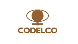 智利国家铜业（Codelco）